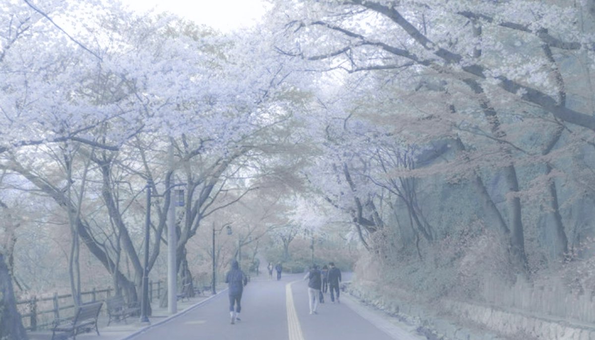 lacuniae's tweet image. ⠀⠀⠀⠀
⠀⠀⠀⠀
⠀⠀⠀⠀⠀       ࣪˖ ִֶָ𐀔  about today  ˚𓂃 ࣪ ִֶָ𔓘
⠀⠀⠀⠀
⠀⠀⠀⠀