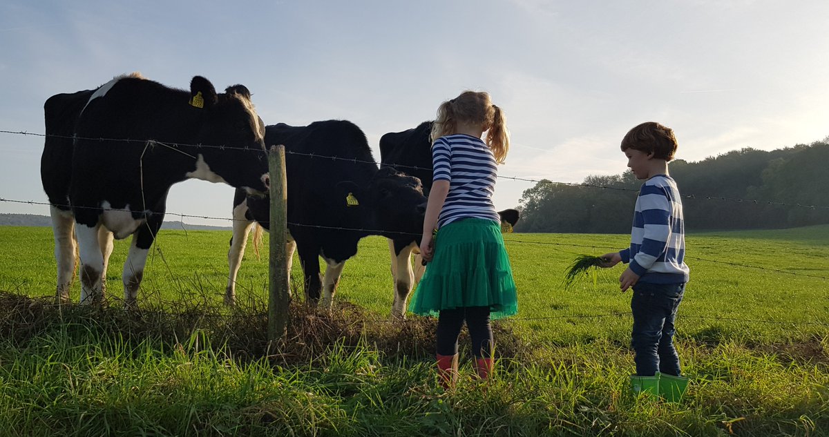 What are citizens' attitudes towards management of the countryside and grasslands in particular, and how can this inform policy? Find out here: ow.ly/chnA50Sp42F