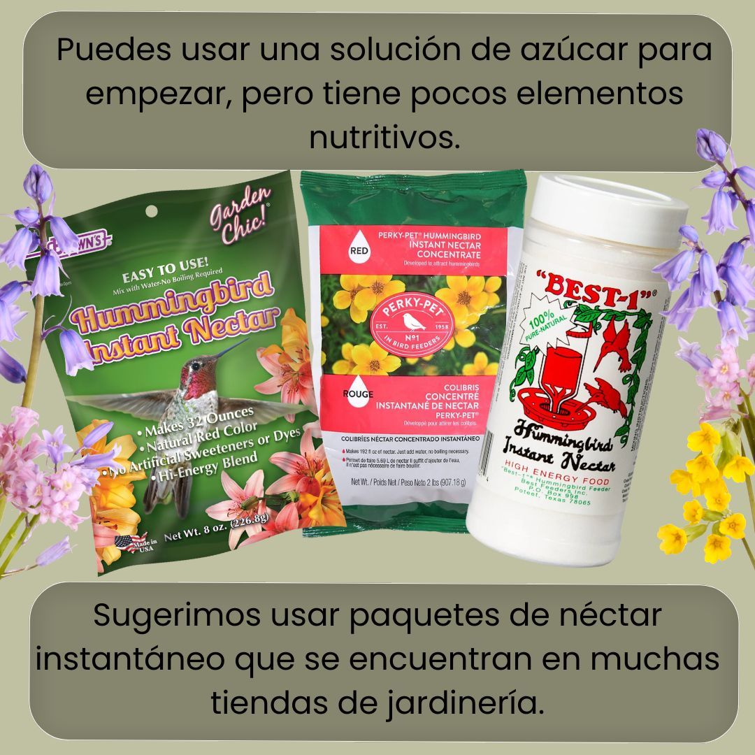 UF_RWEL_esp's tweet photo. El verano atrae muchos animales a los vecindarios y patios de las personas. Un animalito que a veces puedes encontrar volando por tus flores son los colibríes. ¡Lee sobre como los puedes atraer a su patio!
#colibríes #verano #vidasilvestre #florida #viral #ufifas https://t.co/ulvShLCUBY