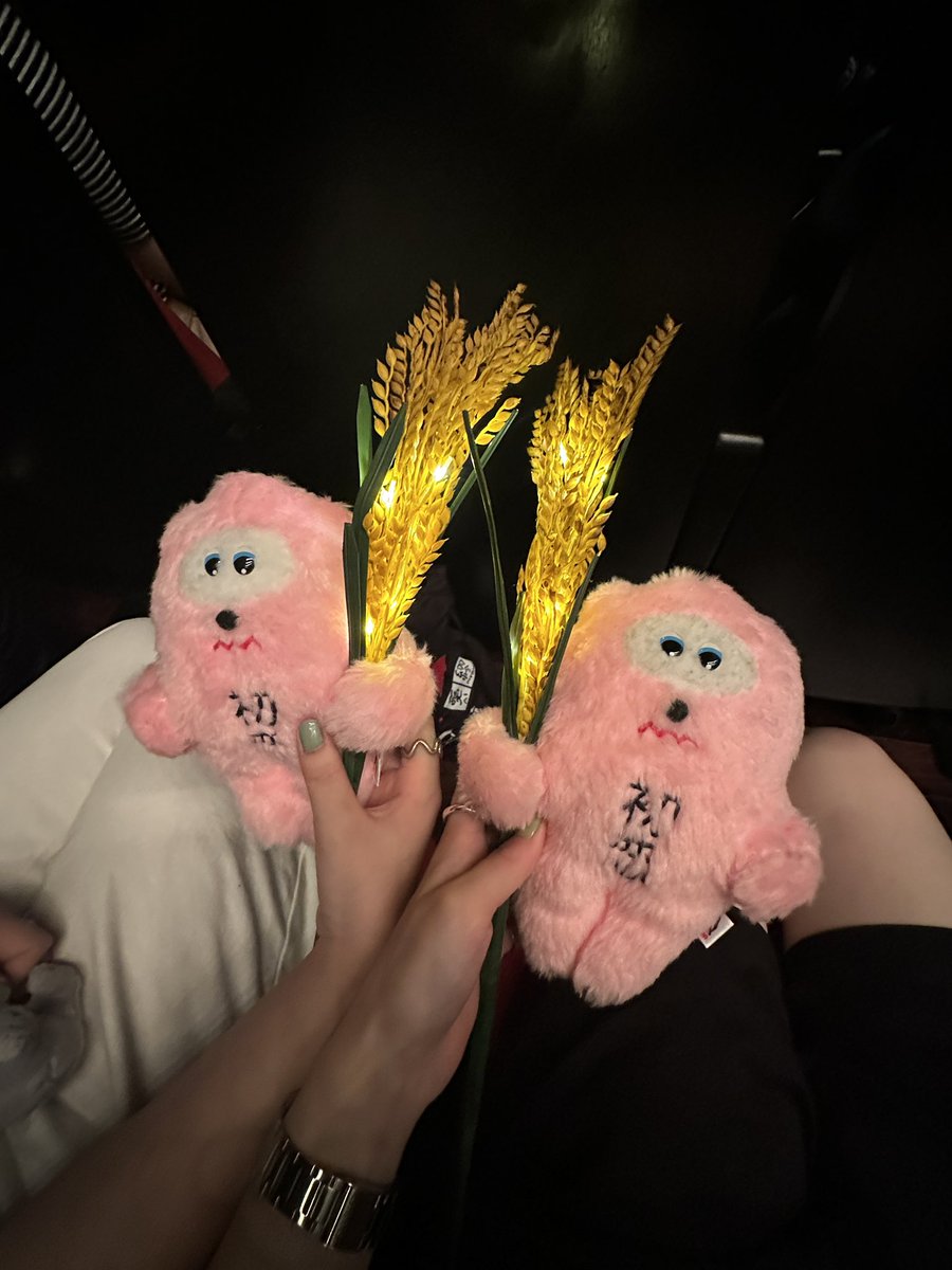 ripachiAIM's tweet photo. 稲穂🌾必需品やと思ってたので購入したら、
「今日買った人〜バカですね〜笑」ってレキシさん言ってて大爆笑した😂😂
(うろ覚えです...笑笑)
@ekechang 
 #ラブコール２ https://t.co/8MIBvfNw9R