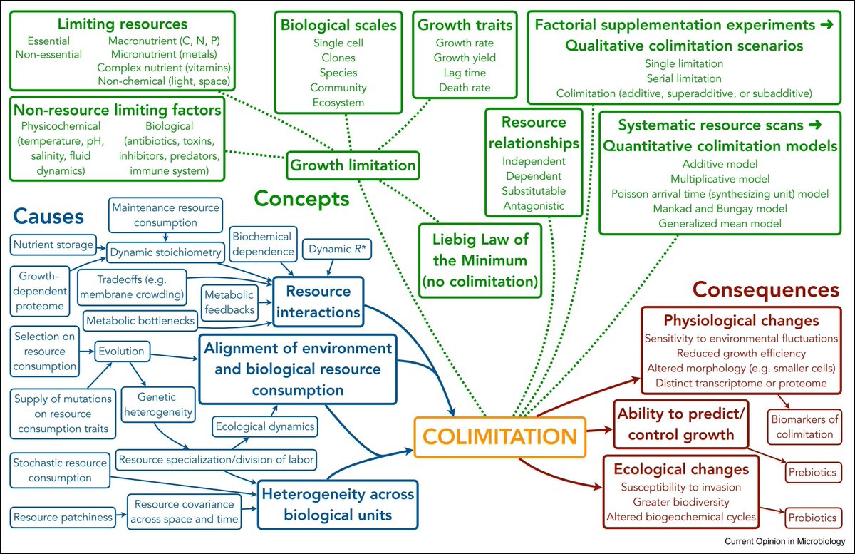 proteocean's tweet image. I think that microbes experience nutrient limitation in a continuous way, but experiments aren&apos;t usually designed to capture that. Thoughts (and massive concept map) from @Michael_Manhart and I in the Microbial Systems and Synthetic Biology themed issue: sciencedirect.com/science/articl…
