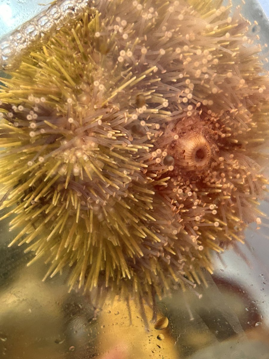 Rodney Crouse 🏳️‍🌈 tweet media