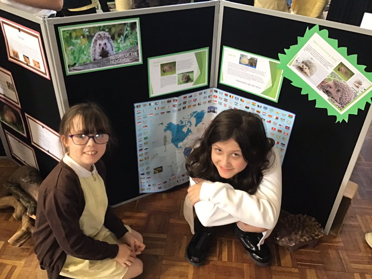 Y5Gayton's tweet photo. A HUGE “Thank you” to everyone who attended our hedgehog 🦔 exhibition today. Our Year 2 and Year 5 children thoroughly enjoyed sharing their knowledge with you. @EcoGayton @GaytonPrimary @HogFriendly @hedgehogsociety https://t.co/OH4bKRnUgM