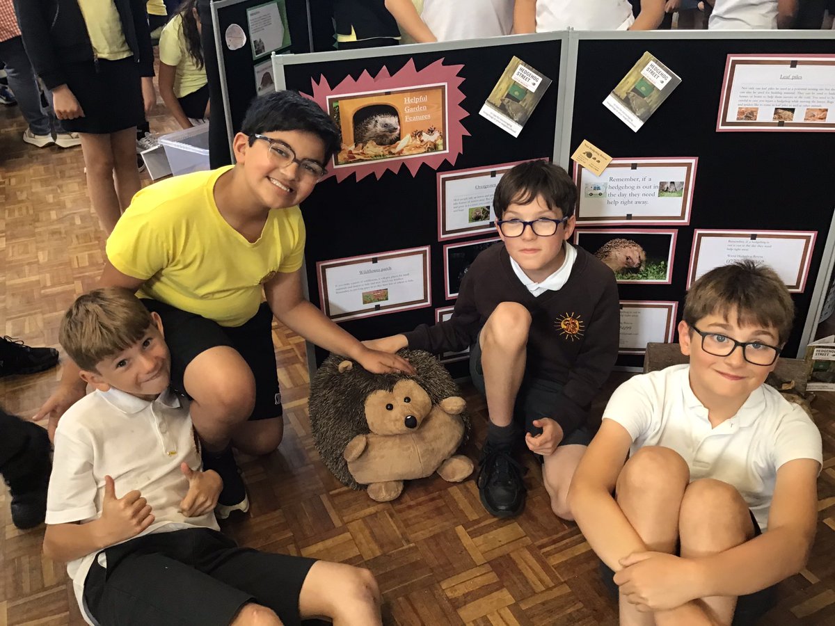 Y5Gayton's tweet photo. A HUGE “Thank you” to everyone who attended our hedgehog 🦔 exhibition today. Our Year 2 and Year 5 children thoroughly enjoyed sharing their knowledge with you. @EcoGayton @GaytonPrimary @HogFriendly @hedgehogsociety https://t.co/OH4bKRnUgM