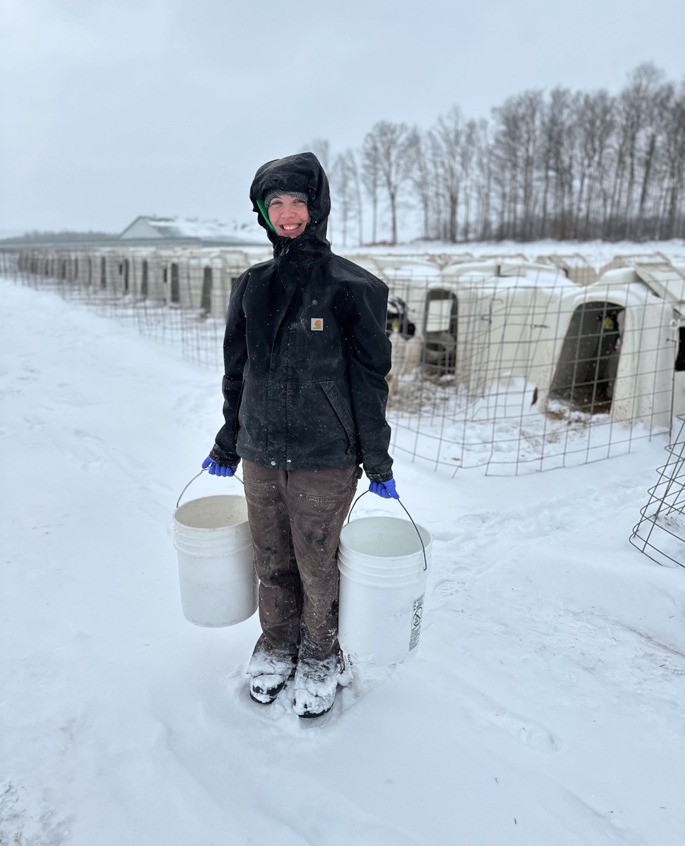 NYAnimalAg's tweet photo. When you're dreaming of cooler days... ❄️

As we melt in the summer heat, here's a throwback to farm chores in the snow!

#NYWinter  #SnowDay #FarmHumor #SummerHeat https://t.co/IfyH3SiTrS