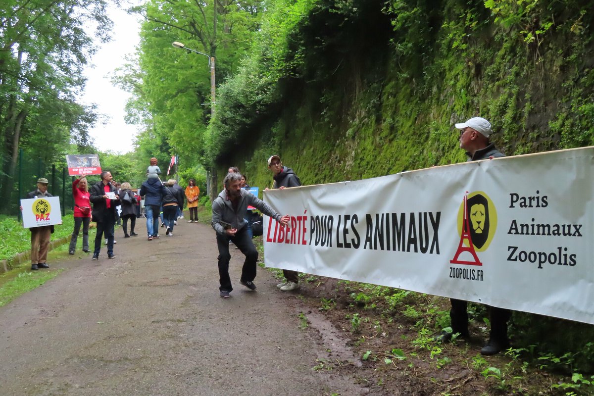 leparisien_77's tweet photo. Compans : les animalistes de PAZ volent dans les plumes du spectacle de rapaces des Médiévales
➡️ https://t.co/u1WqLPxawk https://t.co/0Fj8fXPuSM
