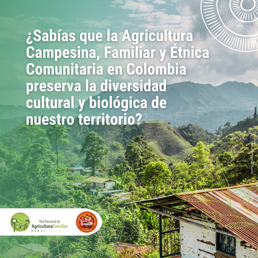 AIAFcolombia's tweet photo. ¡Es fundamental protegerla para un futuro sostenible!

Más información: https://t.co/y31VUXVtE9

#AgriculturaSostenible #DiversidadCultural #Biodiversidad #AgriculturaFamiliar #SeguridadAlimentaria #DesarrolloRuralSostenible #SemillasBienComún #RedSemillasLibres #ACFEC https://t.co/bKgYN3ikq6