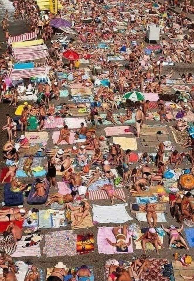 Isabelita (La lianta) tweet media