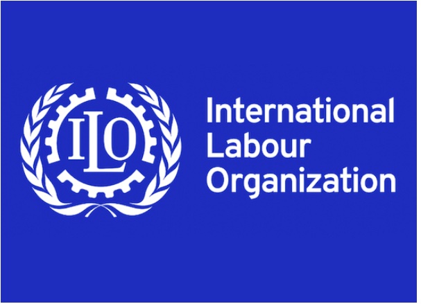 treballaire's tweet photo. @ILOCaribbean 
 is helping Grenada Island to establish better employment policies.

Thanks to 
@abdelmalik_jama
  and @govgd  to push forward islanders public policies https://t.co/LinCCYacfy