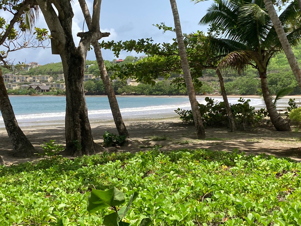 treballaire's tweet photo. @ILOCaribbean 
 is helping Grenada Island to establish better employment policies.

Thanks to 
@abdelmalik_jama
  and @govgd  to push forward islanders public policies https://t.co/LinCCYacfy