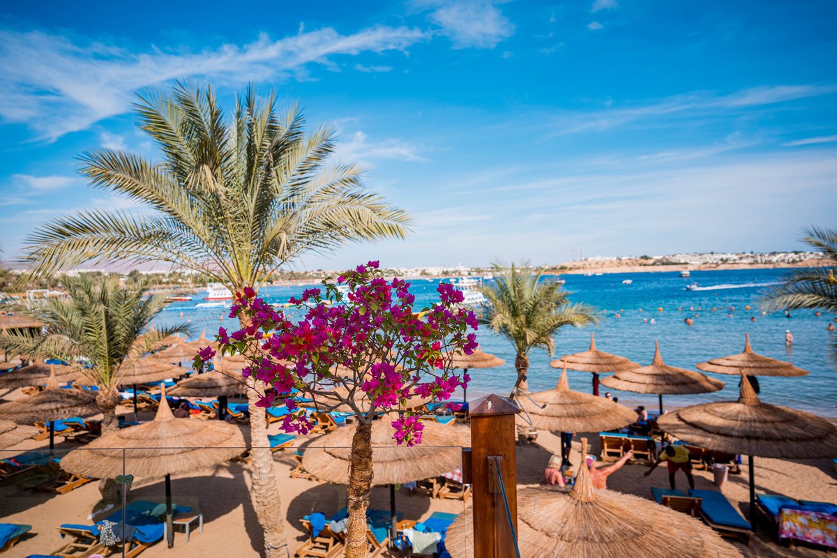SharmHotel's tweet photo. Feel the #magic of Marina Sharm Hotel

Email: res@marinasharm.com
https://t.co/xcHbf0rNqv

#marinasharmhotel #Royalmarinasharm #goodvibes #Sharmelsheikh #egypt🇪🇬 https://t.co/nDsDvjtklx