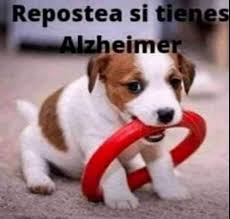 <a href="/CompotaHyper/">CompotaHyper</a>