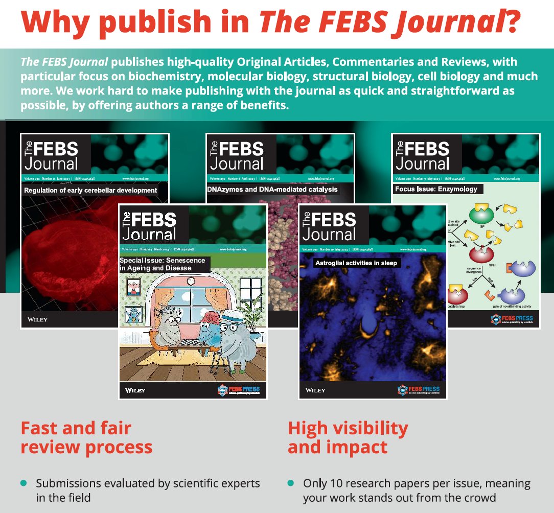 Seamus Martin (@seamusjmartin) on Twitter photo The FEBS Journal welcomes submissions in all areas of Cell and Molecular Biology, Biochemistry, Structural Biology, Immunology, and related areas. IF5.5, Q1.
If you have not published with us before, why not submit your paper today? <a href="/FEBSJournal/">The FEBS Journal</a> The FEBS Journal welcomes submissions in all areas of Cell and Molecular Biology, Biochemistry, Structural Biology, Immunology, and related areas. IF5.5, Q1.
If you have not published with us before, why not submit your paper today? <a href="/FEBSJournal/">The FEBS Journal</a>