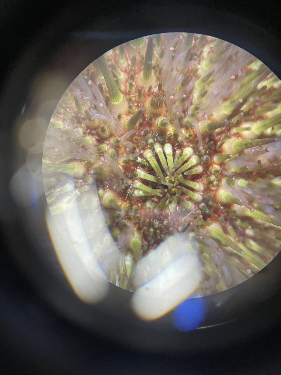 𝕽𝖚𝖐𝖐𝖎𝖆 tweet media
