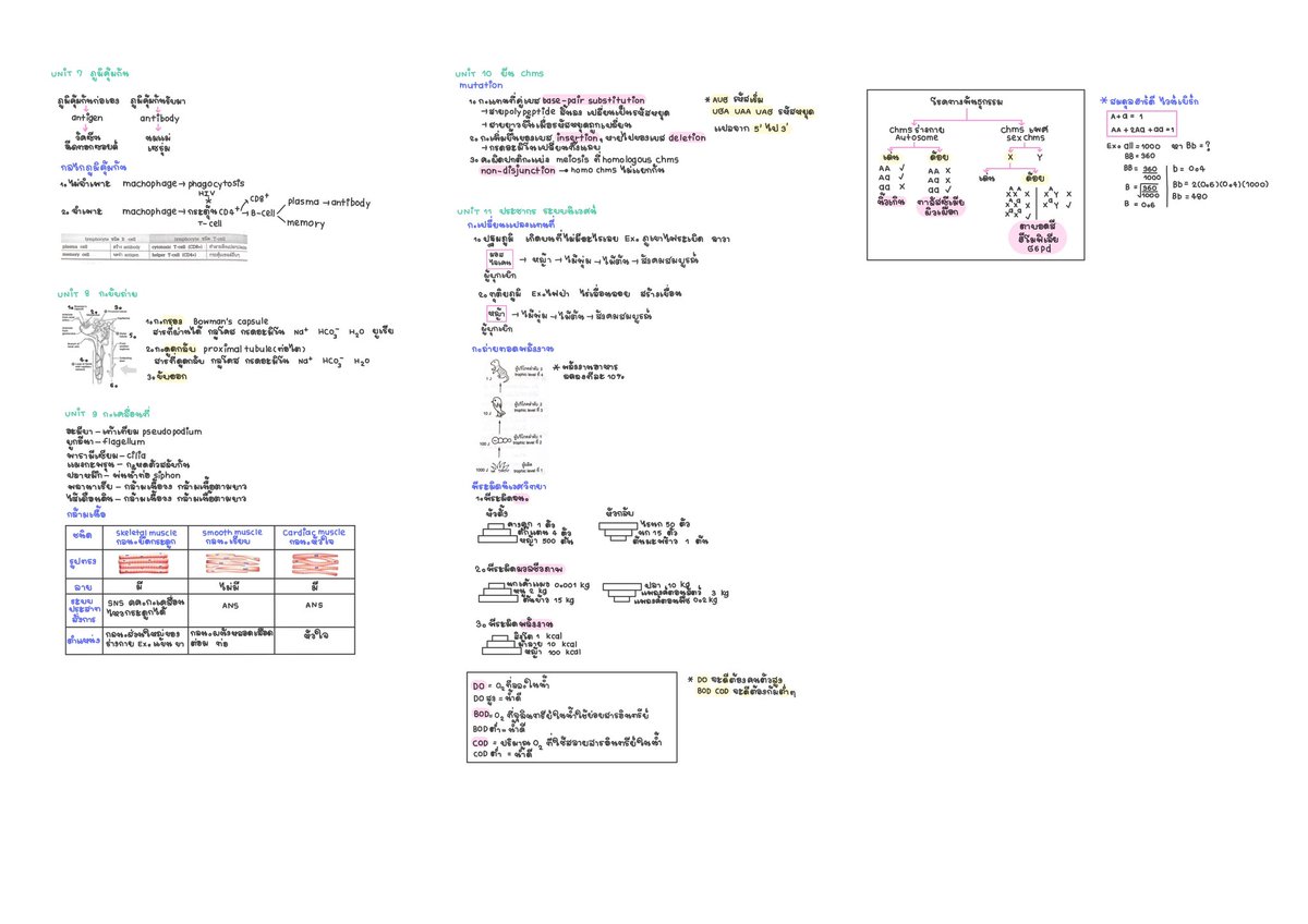🥦-ค้นเจอสรุปชีวะที่เคยจดไว้ทวนเล็กๆน้อยๆ เลยเอามาแบ่งปันงั้บ
    Pls rt ── .✦🍎🦒
 
*ผิดพลาดตรงไหนขออภัยด้วยน้า
#dek68 #แจกสรุป #giveflower