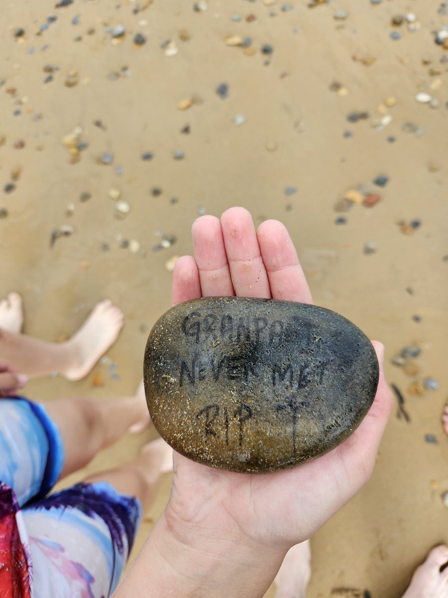 Collège NJ Conté tweet media