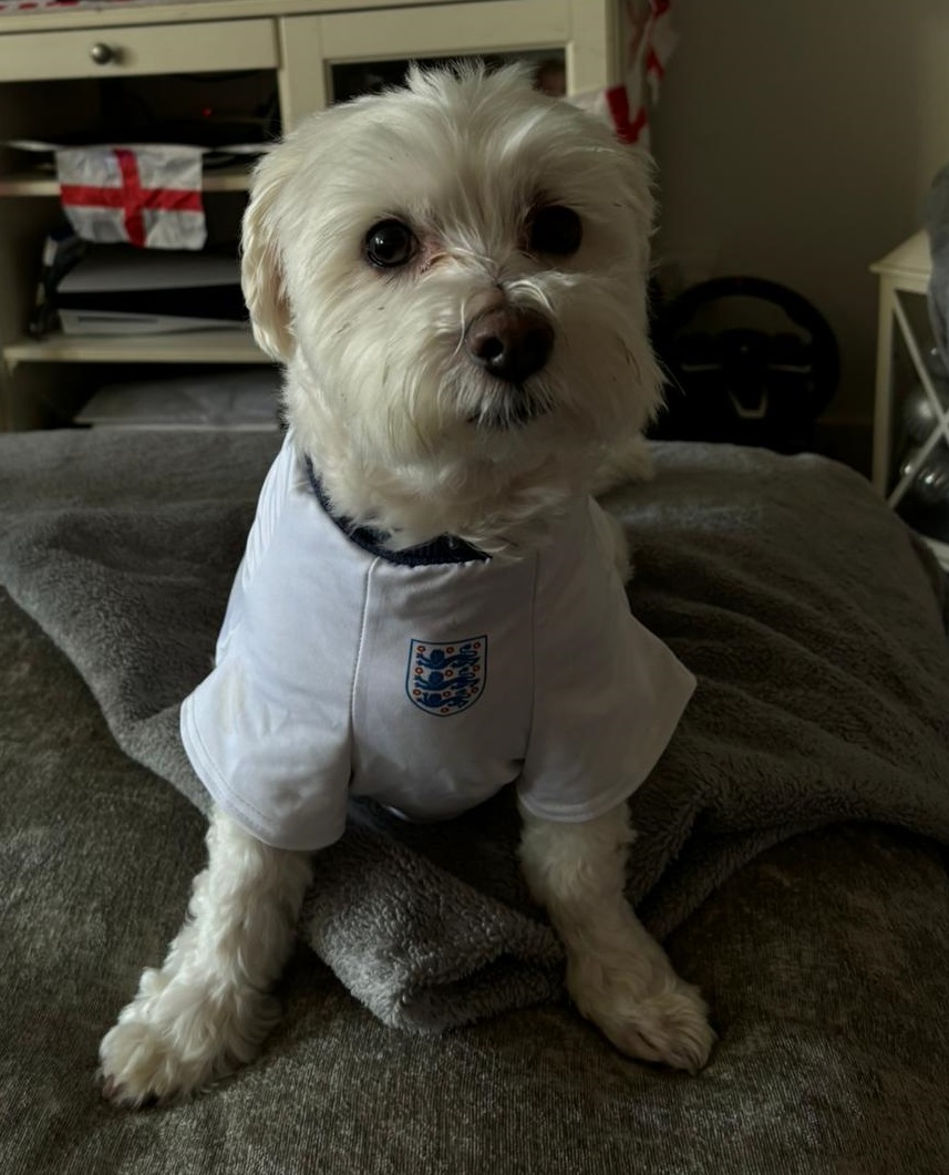 OriginalGidman tweet media