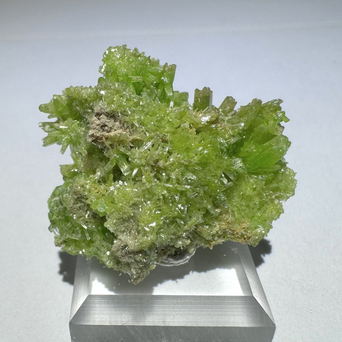 exoticcrystals's tweet photo. 💚Green Pyromorphite from Daoping, Guangxi, China⚜️ #pyromorphite #minerals #crystals https://t.co/yKuBT3XKpm