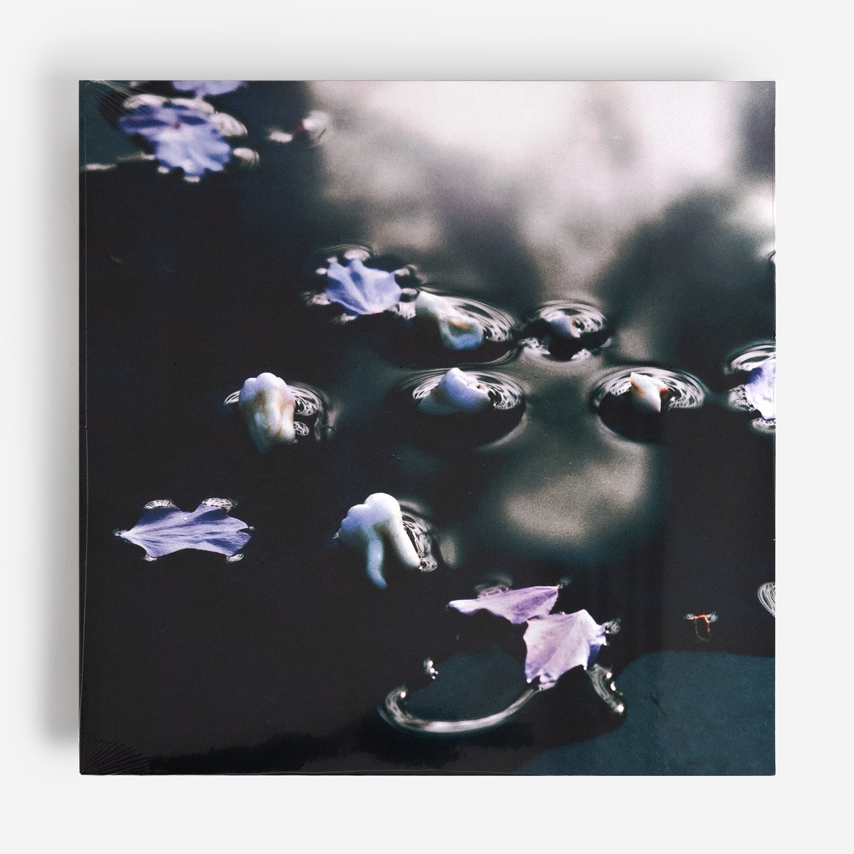 ZULI slows the tempo and widens the aspect ratio on his Subtext debut, chopping hoarse trip-hop and industrial vignettes with gloopy, fractal ambience x future-facing electroid pop, feat guests Coby Sey, Abdullah Miniawy++

bit.ly/3xNHTYb