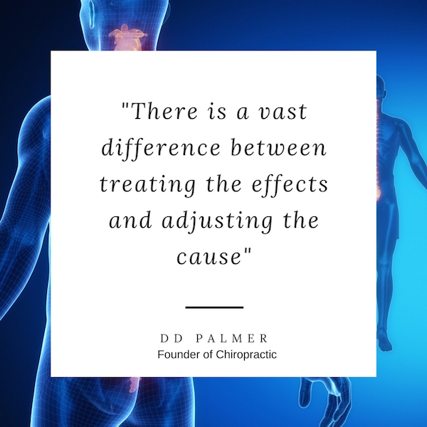 SpinalVitality's tweet photo. Wellness comes from within! Get adjusted!! #Chiropractic #SpinalVitality #WellnessForLife https://t.co/qZig9cm9QI