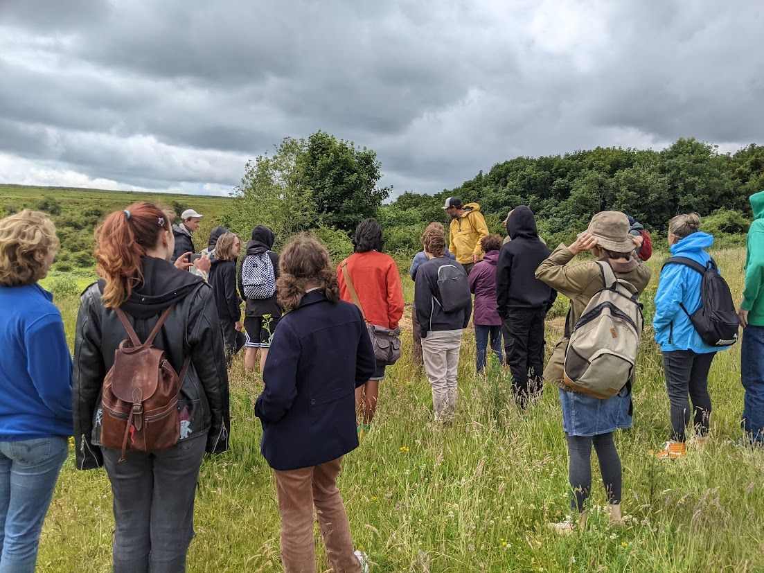 Railway Land Wildlife Trust tweet media