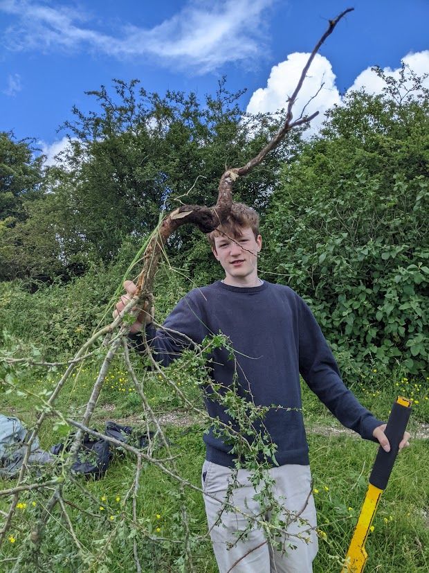 Railway Land Wildlife Trust tweet media