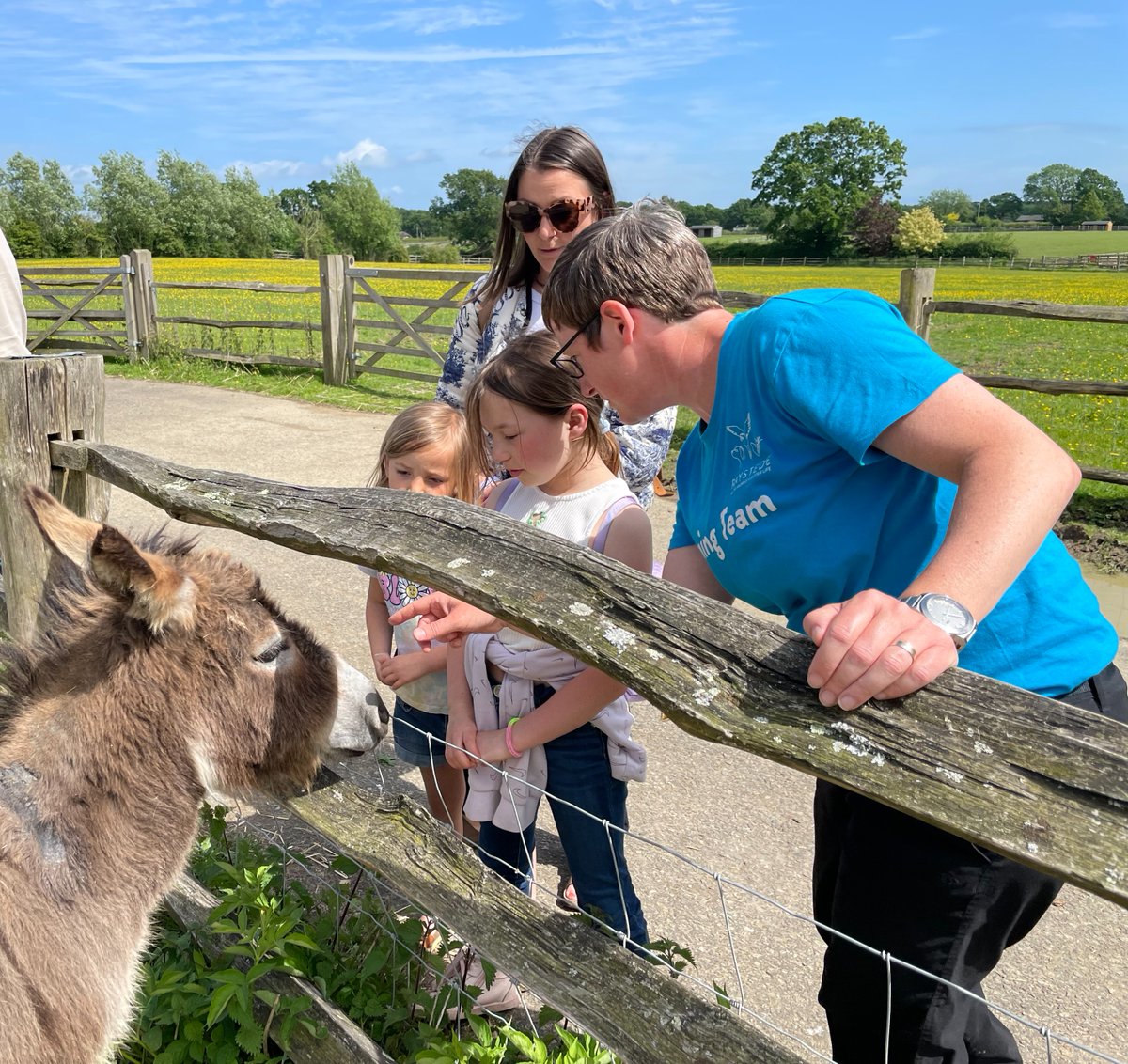 Just two weeks to go before the start of our Summer Family Learning Days! The Family Learning Days will take place every Wednesday and Thursday during the school holidays from 10am - 4pm.

Find out more and book your place at raystede.org/family-learnin…