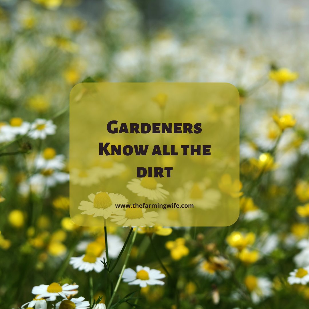 Keep this in mind. 😆
#nature #mygarden #gardens #gardenlife #gardener #gardenlove #homestead #homesteading