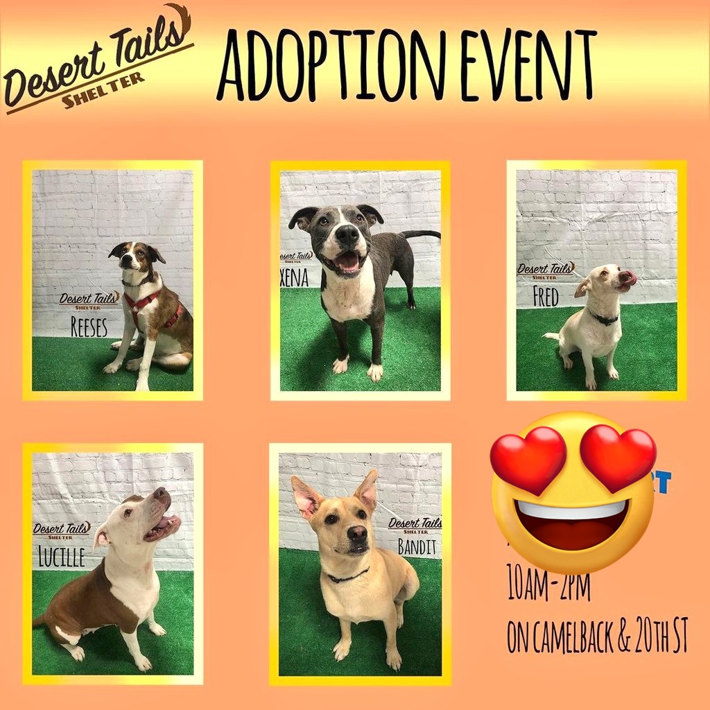 Happy to be in New home....
#hostarablaylock