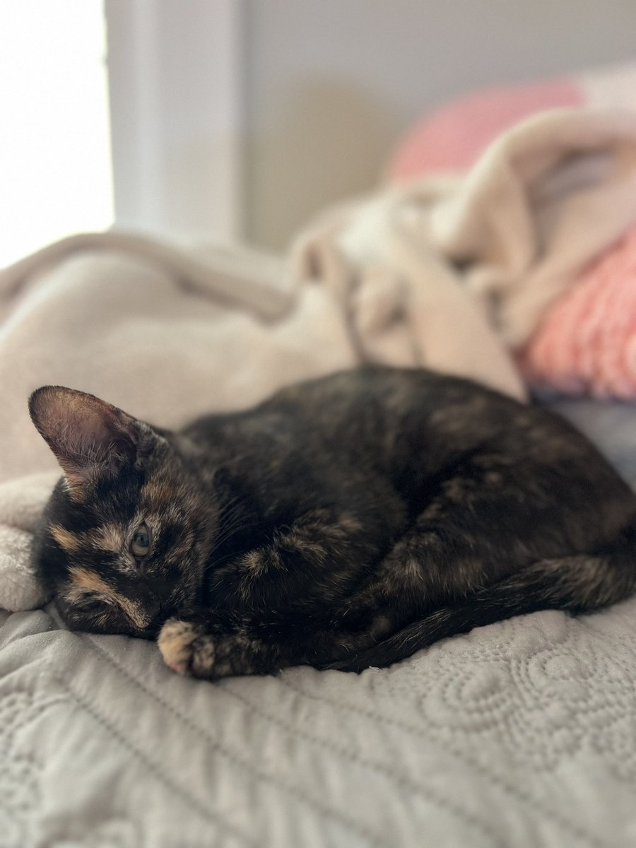 Orange update, we kept 2
Tubby (left) &amp; Stella (right)
