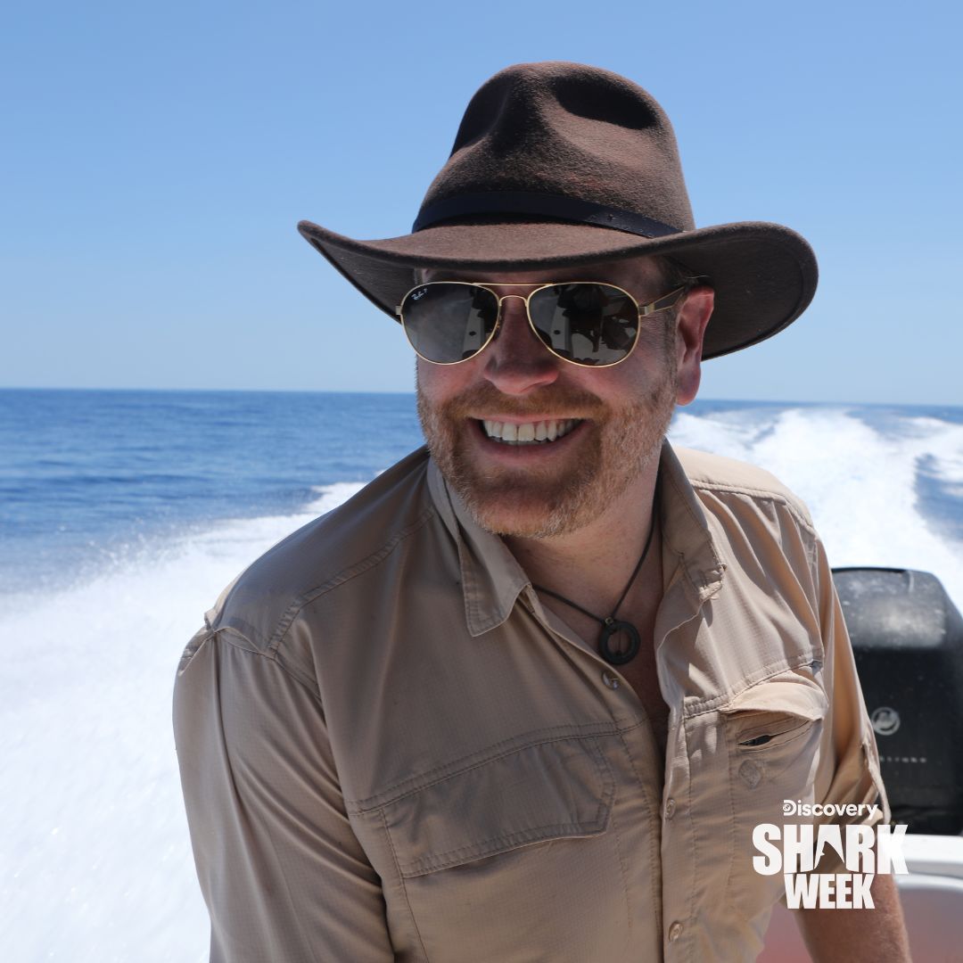 Discovery's tweet image. 👀 @joshuagates gets a little help from the sharks in his search for a lost wreck sunk by a Nazi U-Boat during World War II 🦈

#SharkWeek continues tonight with #ExpeditionUnknown: Sharks vs Nazis in Paradise at 9p on @Discovery!