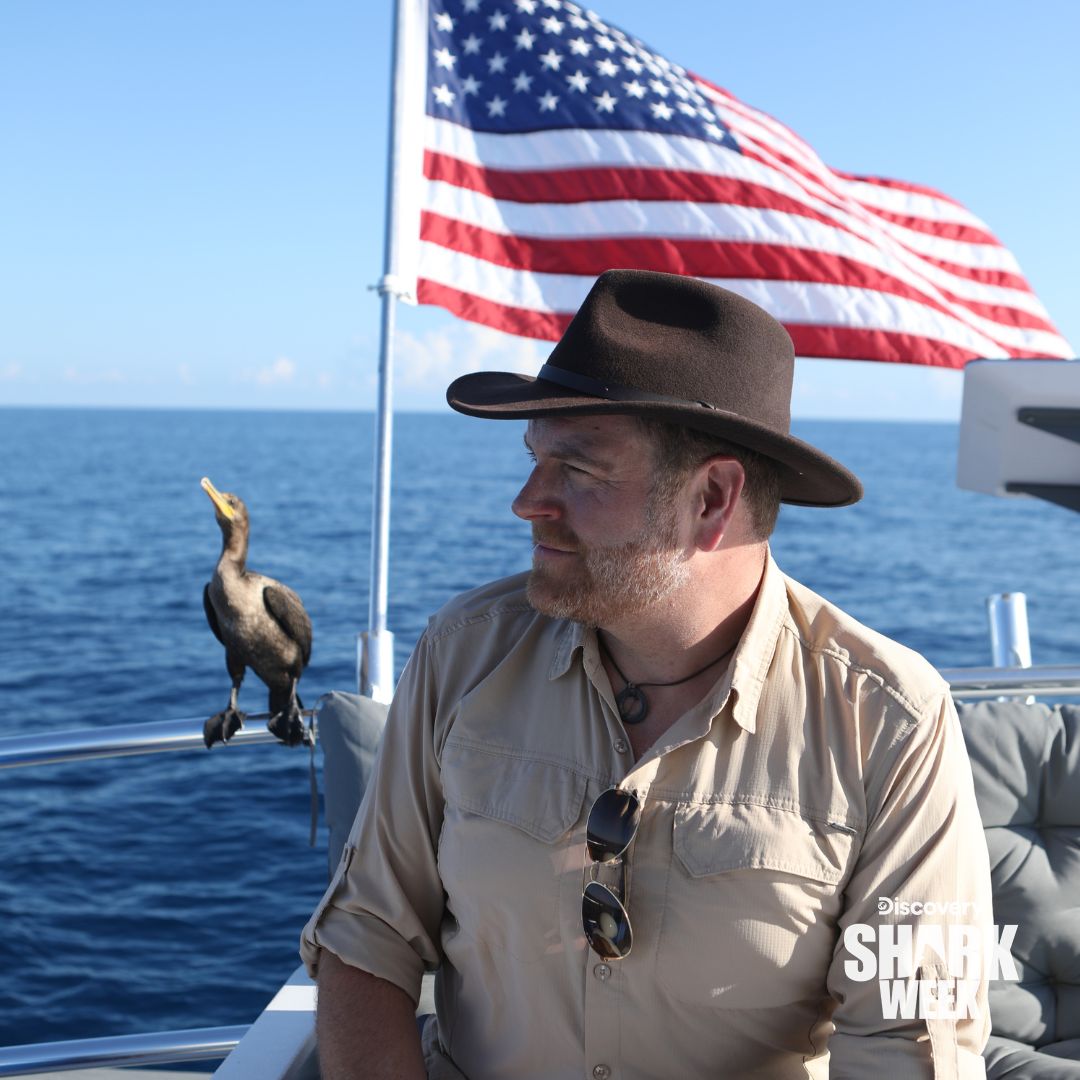 Discovery's tweet image. 👀 @joshuagates gets a little help from the sharks in his search for a lost wreck sunk by a Nazi U-Boat during World War II 🦈

#SharkWeek continues tonight with #ExpeditionUnknown: Sharks vs Nazis in Paradise at 9p on @Discovery!