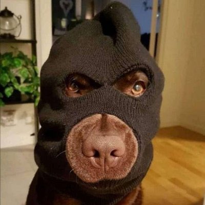 TG (@_0xtg1) on Twitter photo 