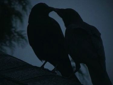 que_diable_'s tweet photo. ∘₊✧───𝚛𝚙───✧₊∘

«Не понять и не додумать идиотам -
Смерть моя не принесёт им
Ни могущества, ни сил,
Не откроет им небесные ворота,
Да и адские, пожалуй -
Их бы в Ад бы кто пустил!» https://t.co/WYTKT1U1Oi