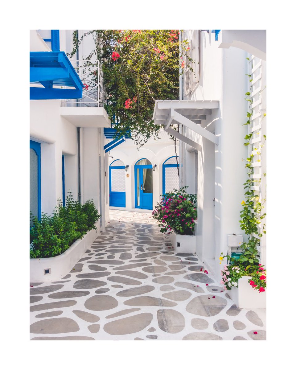 cmroeb's tweet image. Exploring the stunning island of Santorini, where the sunsets are magical and the adventures are endless. Pack your bags and experience the beauty of Santorini for yourself! ✈️🌅 #SantoriniAdventures #GreekParadise #TravelGoals