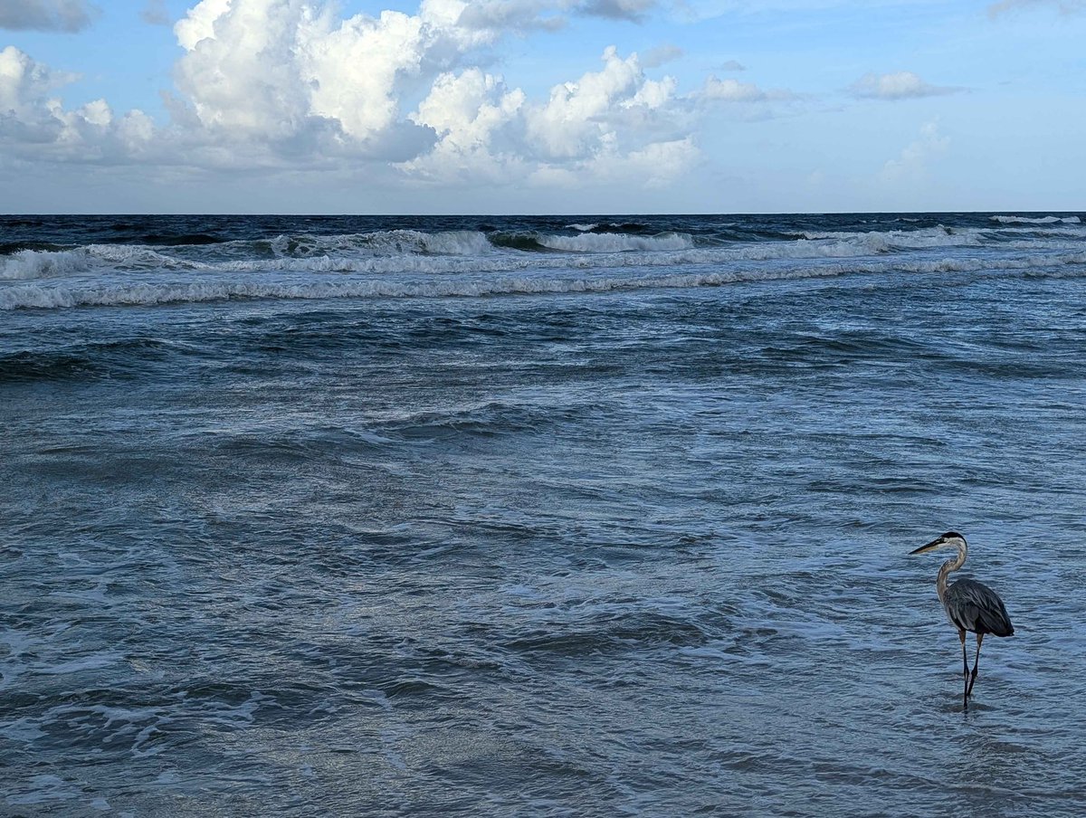 Jessica spoke at CE’s by the sea this week and did a great job! She also got to enjoy the beach while she was there too!