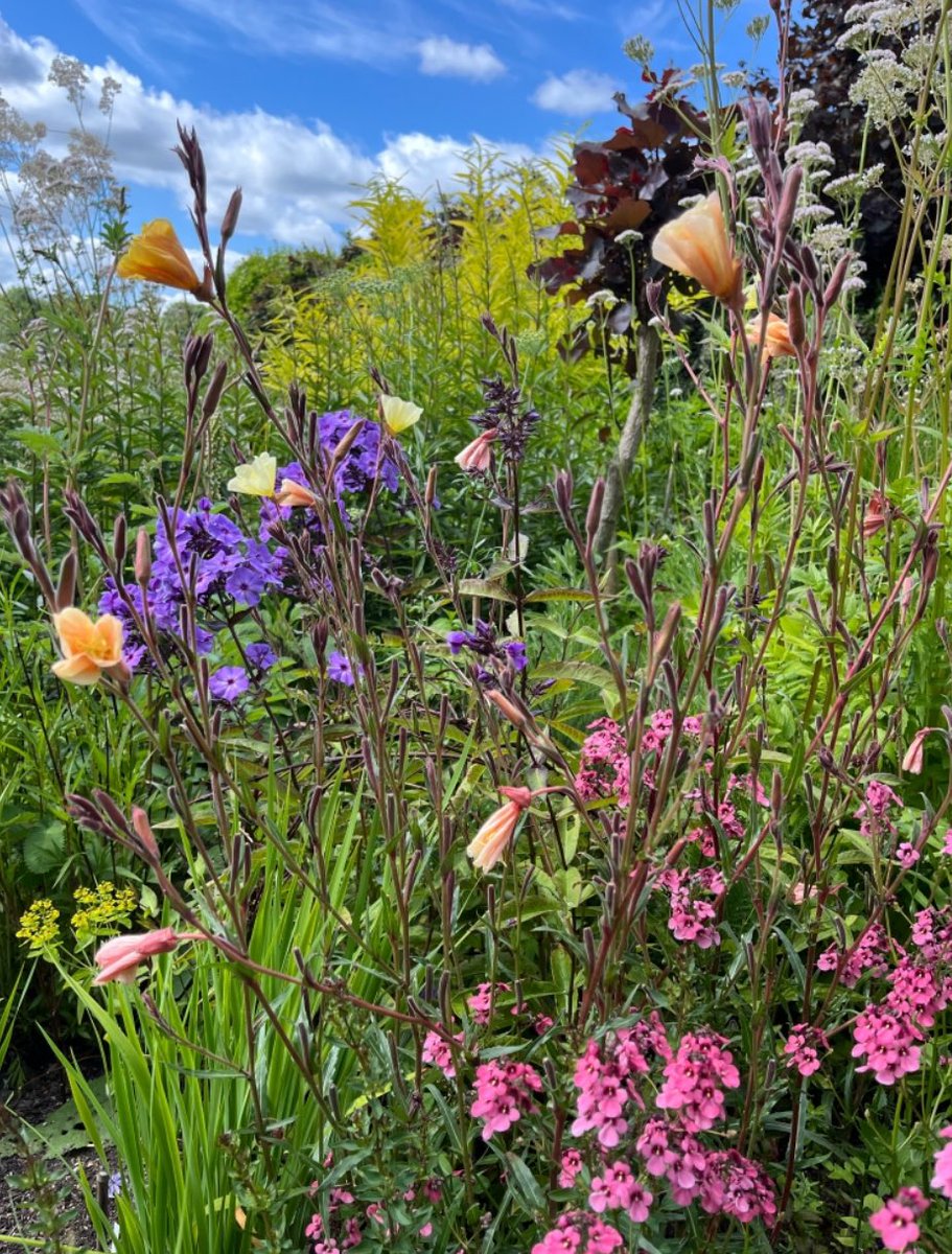 The Oast looking simply stunning 😍Open as part of Mayfield Gardens, Mayfield, Sussex 🌹Five fabulous gardens open for the #Nationalgardenscheme 13/7 &amp; 14/7 🌸#Flowers #Gardening