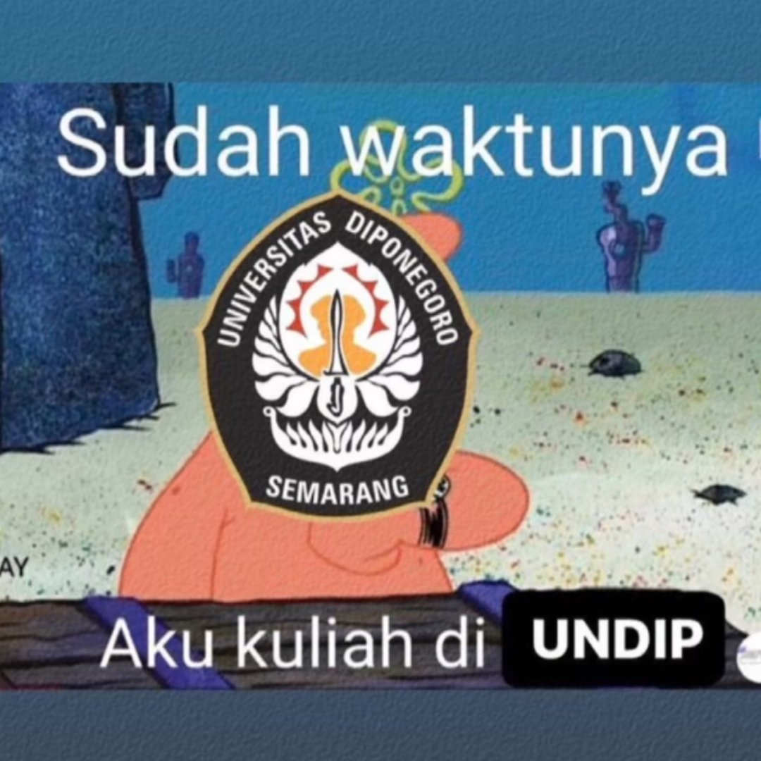 nisaa tweet media