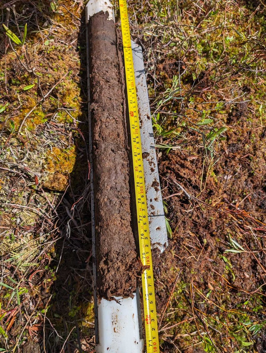 Alex Koiter tweet media