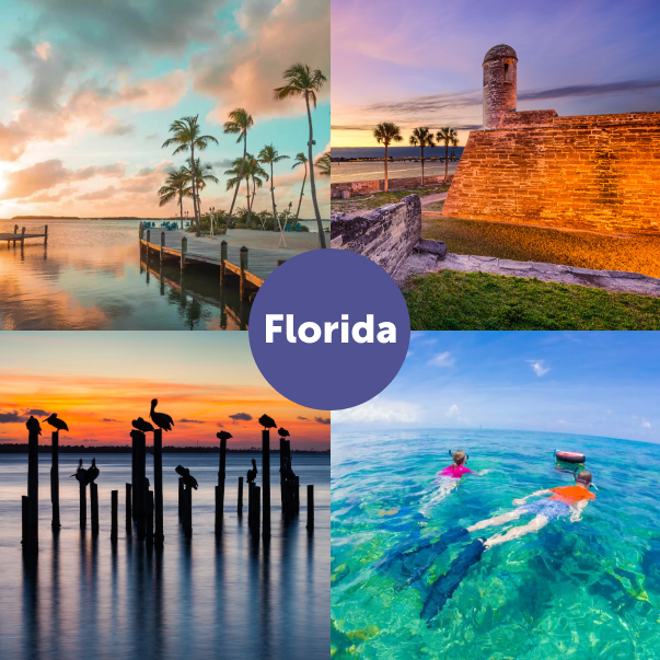 Journey Latin America tweet media