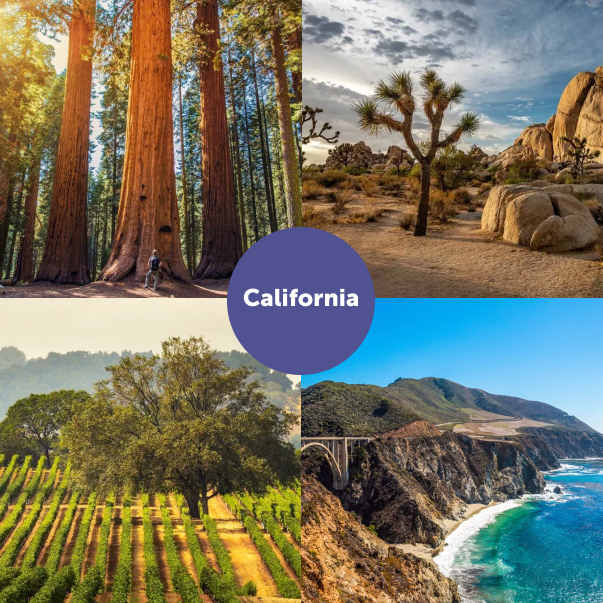 Journey Latin America tweet media