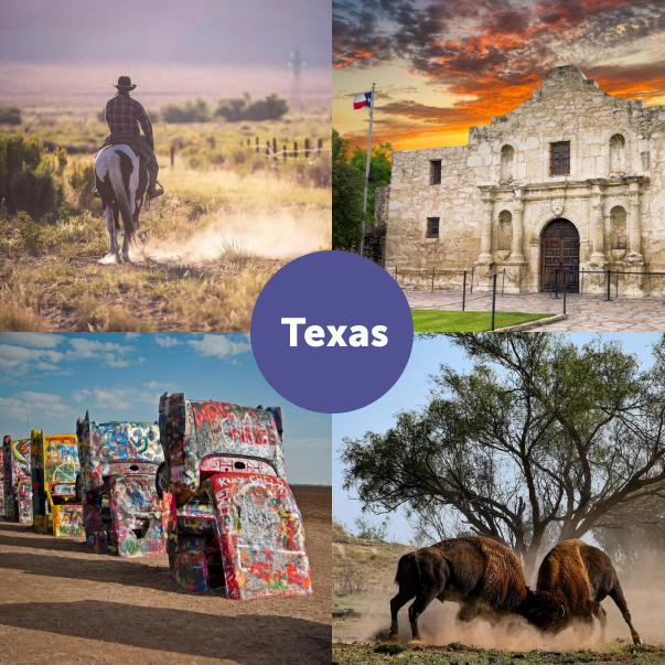 Journey Latin America tweet media