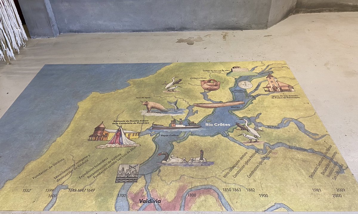 Valdigonia 🌠 tweet media