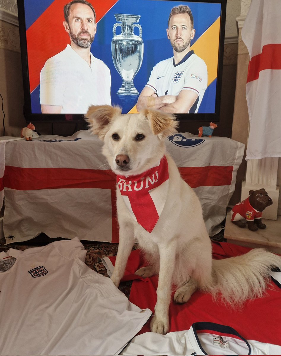 #SSNThreeLions Bruni,  watching sky - waiting for the match