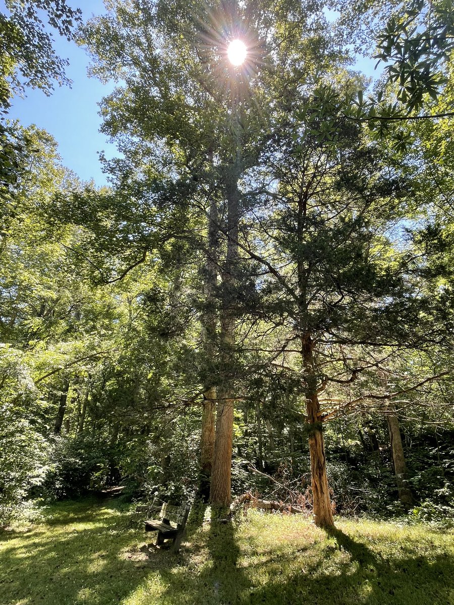 kaoskrissy's tweet photo. @VAStateParks I camped at Bear Creek Lake SP recently. Hiked, paddled, and visited the Farmville Five. Loved it!!! 😍 https://t.co/HvCkqMpMkE