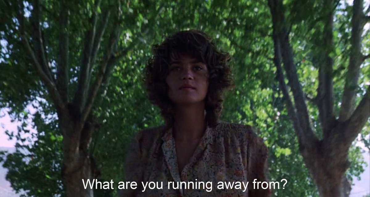The Passenger (1975)
Director: Michelangelo Antonioni