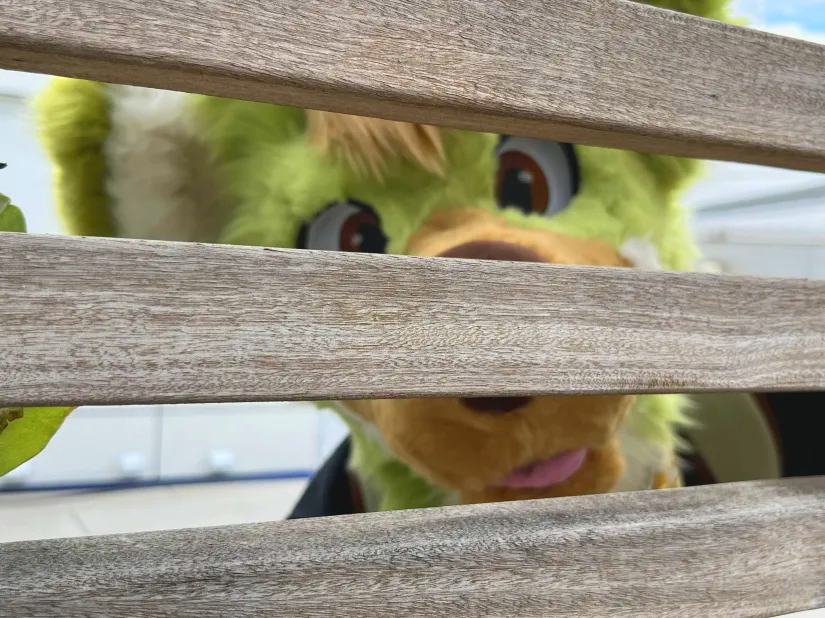 Kishso's tweet photo. Just some of my favorite pictures from #Anthrocon2024 

📷 : Wonderful @JosephCartoons 

Had a blast, thanks yall https://t.co/VjHnAzLRjf