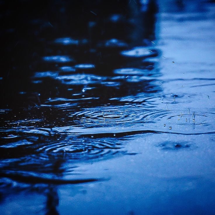 rain.