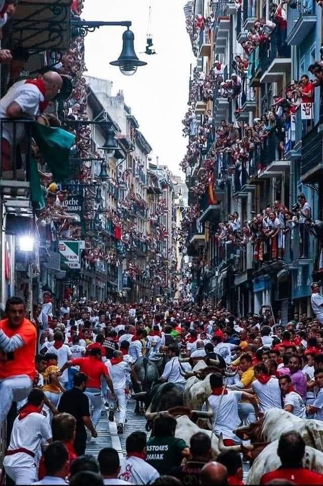 REFLEJO DE UNA SOCIEDAD PUTREFACTA Y EN DESCOMPOSICION.

Ya se pueden morir 300 millones de personas por 💉que NADIE HARÁ NADA.

AH!!! no les quites toros ni fútbol.
Son palabras mayores