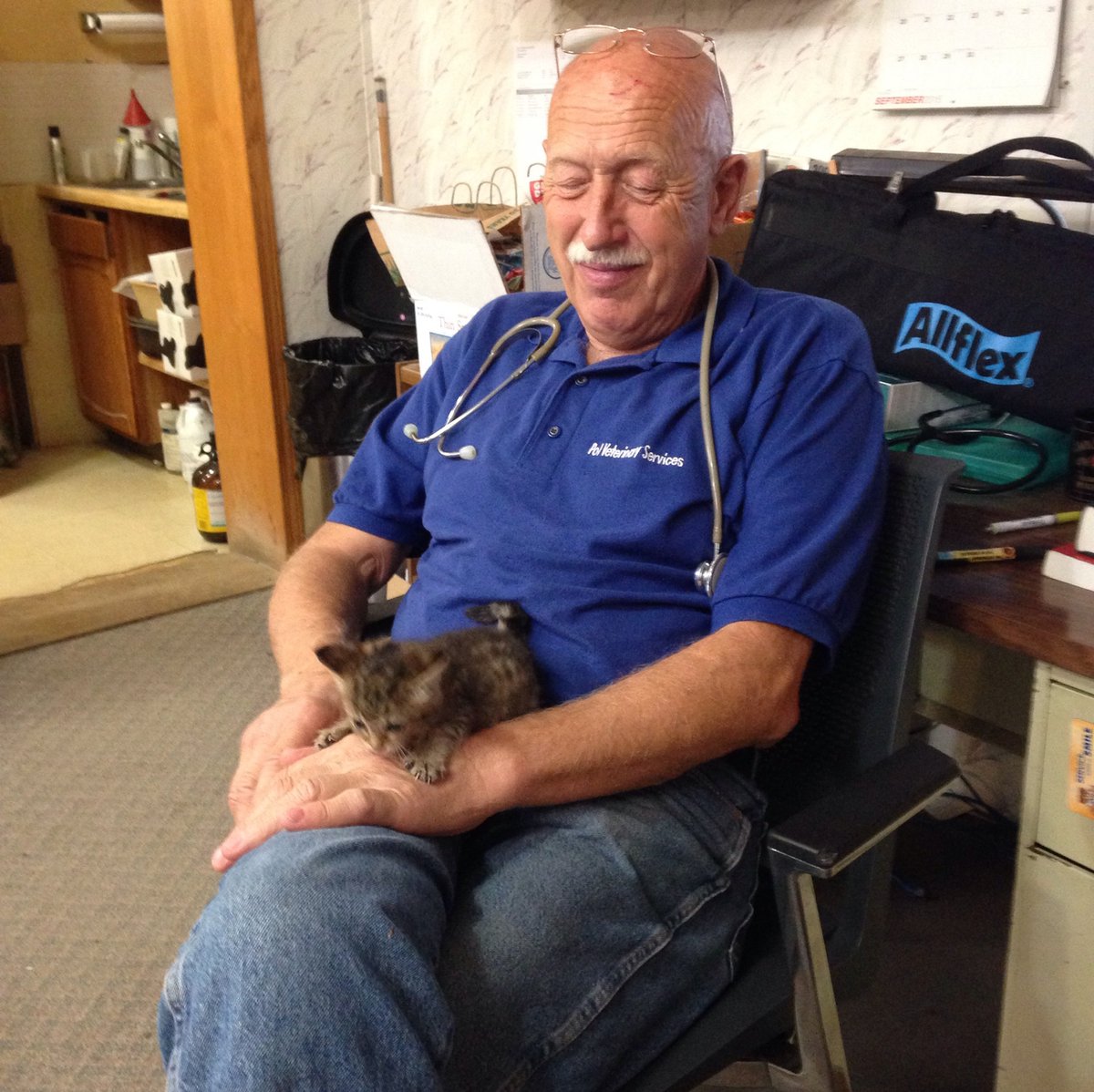DrPol's tweet image. You've got to be kitten us right meow, how purrfect is this photo? 😻 #NationalKittenDay